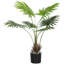 Faux Palm Tree in Pot-541601572