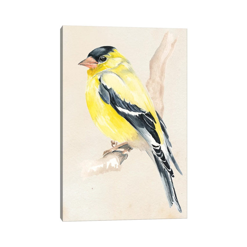 Little Bird On Branch III by Jennifer Paxton Parker - Wrapped Canvas Print, 30.48cm H x 20.32cm W x 1.905cm D