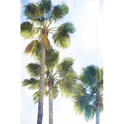 «Palmetto II» par Ryan Hartson-Weddle - photographie sur toile tendue