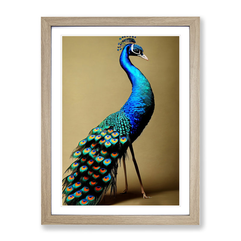 Stunning Peacock - Single Picture Frame Print, 64cm H x 46cm W x 2cm D, Oak Framed