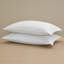 Sateen Pillow Case-437066112