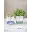 2 Piece Ceramic Cachepot Set