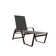 Holna Outdoor Rust-Resistant Metal Chaise Lounge