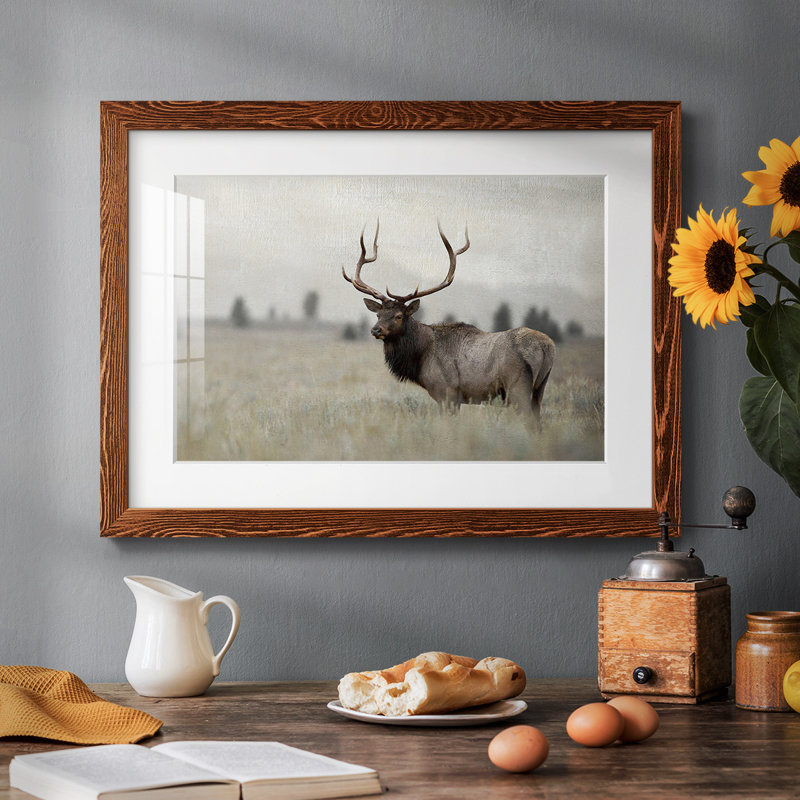 " Grand Elk ", Maple