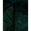 Tapis unique 3 pi 1 po x 8 pi 3 po Huckaby