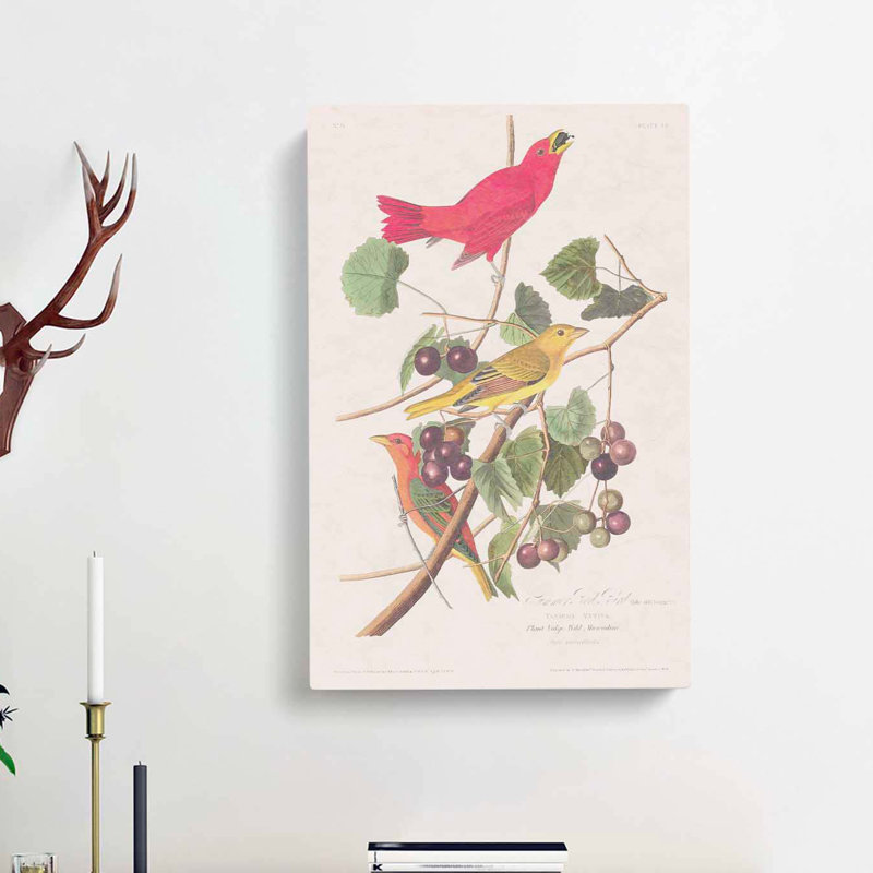 Summer Red Birds by John Audubon - Wrapped Canvas Painting, 50cm H x 35cm W x 3cm D