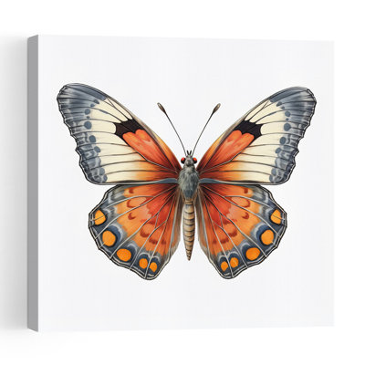 Vibrant Butterfly Illustration Contemporary Butterfly Moth Wall Art Print