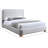 Nolita Tilman Solid Wood Upholstered Platform Bed-88523834-88523833