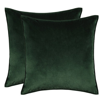  Velvet Throw Pillow