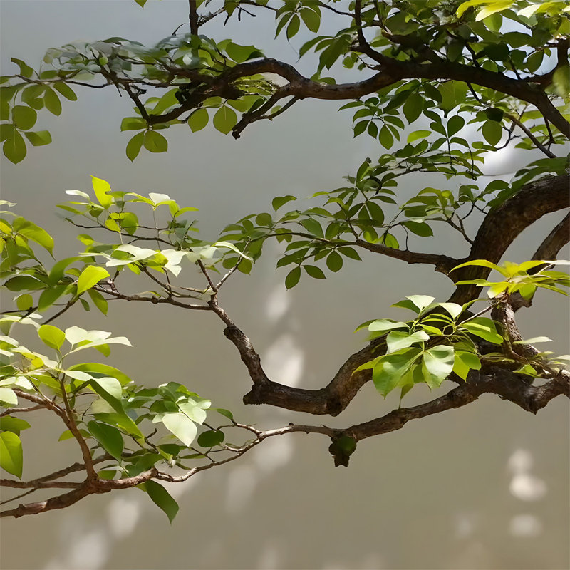 Arbre de gardénia artificiel suspendu à l'envers, 78,74 po x 23,62 po