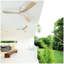 Ventilateur de plafond à profil bas 52 pouces DC 3 sculpté ventilateur de bois lame silencieuse télécommande du moteur sans lumière-579959188-579959191