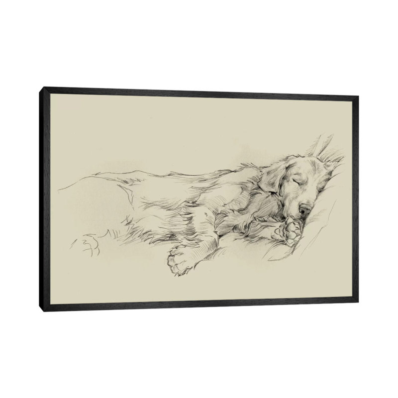 Dog Days III by Ethan Harper - Wrapped Canvas Print, 101.6 cm H x 66.04 cm W, Black Framed