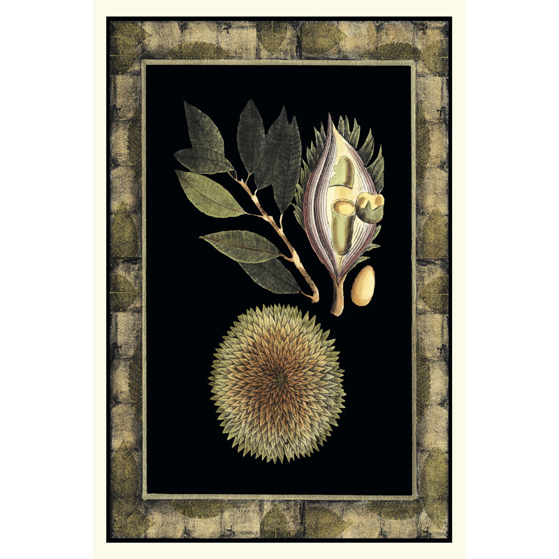 Tropical Bounty III by Vision Studio - Wrapped Canvas Print, 30cm H x 20cm W