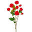 Tige de rose 25 po Ramblin -258401783