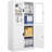 31.5'' Wide 2 - Shelf Storage Cabinet-894231638
