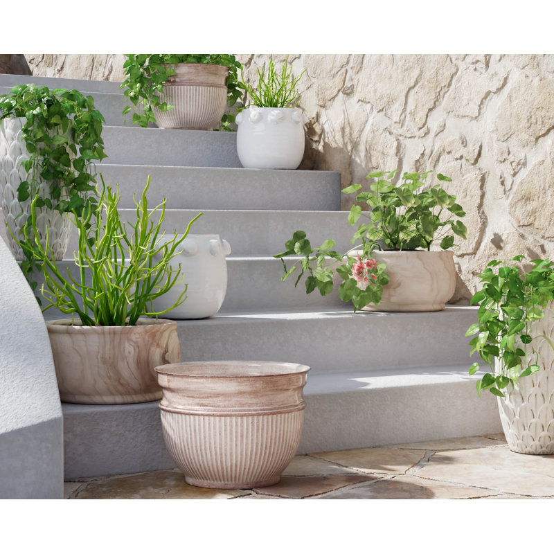 Round Terra-cotta Planter with Raised Dots Design, White