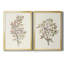«Twig Study I», ensemble de 2 impressions sur toile encadrées-864421124-864421125