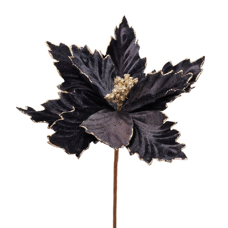 Black Velvet Poinsettia Stem