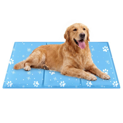 Pet Bed