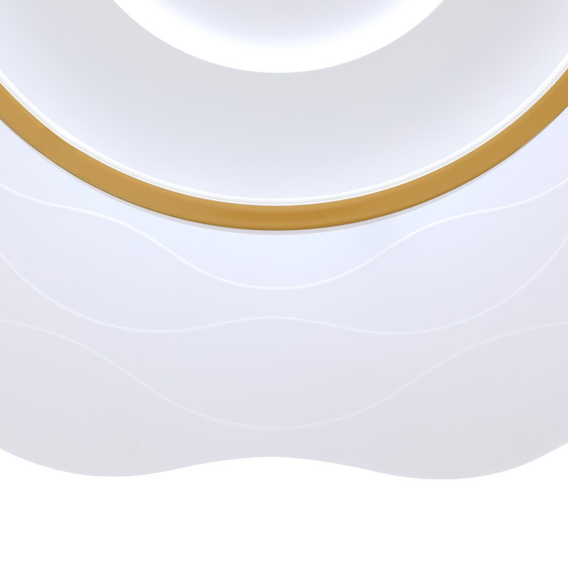 Dimmable LED Flush Mount Ceiling Light With Remote Control