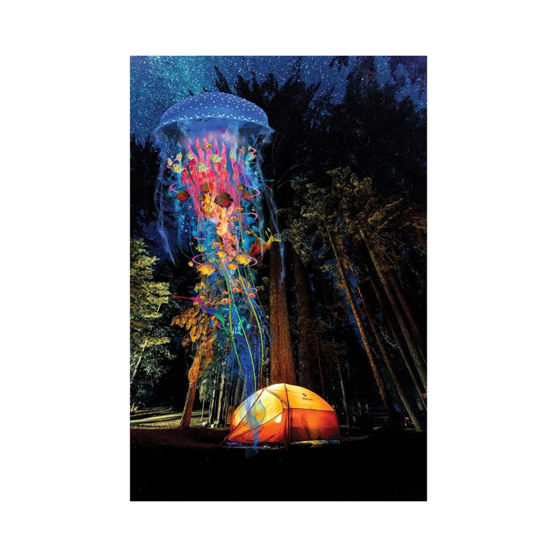 Electric Jellyfish Visits A Campground by David Loblaw - Wrapped Canvas Print, 101.6 cm H x 66.04 cm W x 3.175 cm D