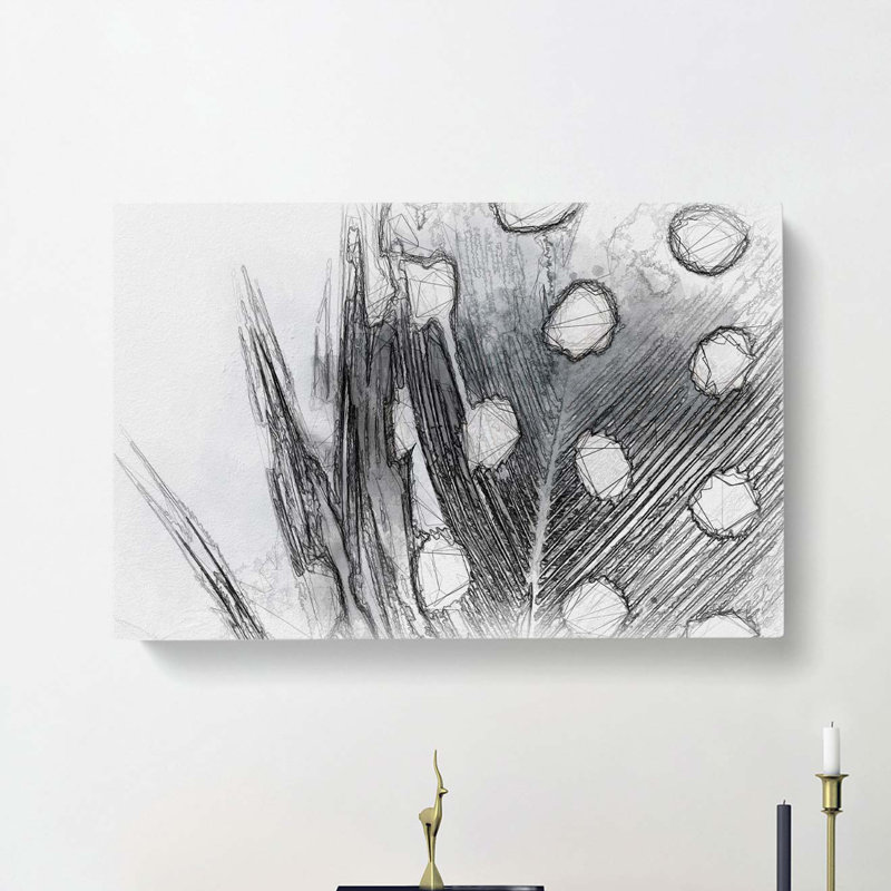 Spotted Feather in Abstract - Wrapped Canvas Drawing - Wrapped Canvas, 50cm H x 76cm W x 3cm D