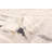 Juniper Taupe Rug 8'0" x 10'0"-643176045