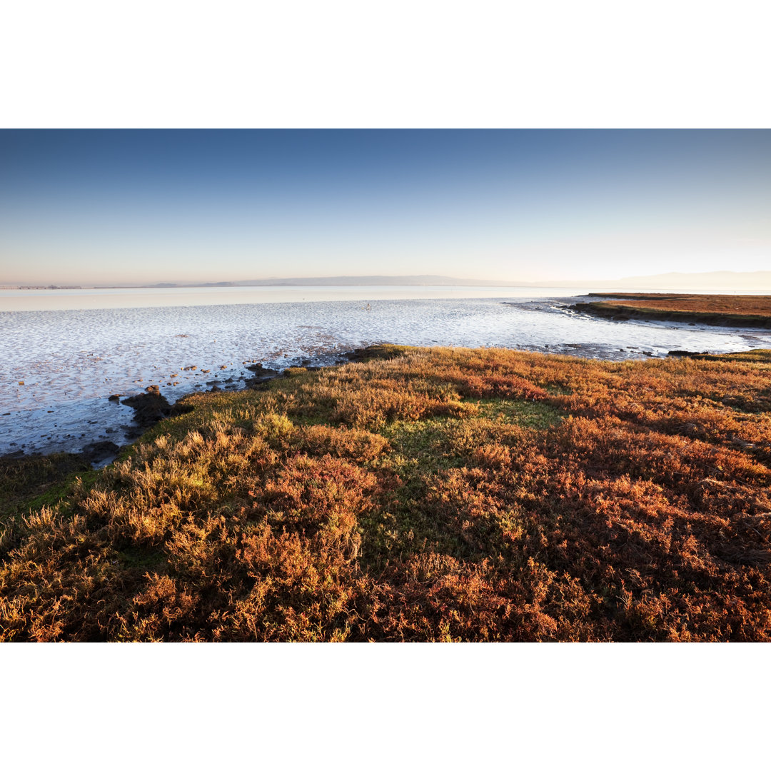 San francisco bay - Leinwandbild