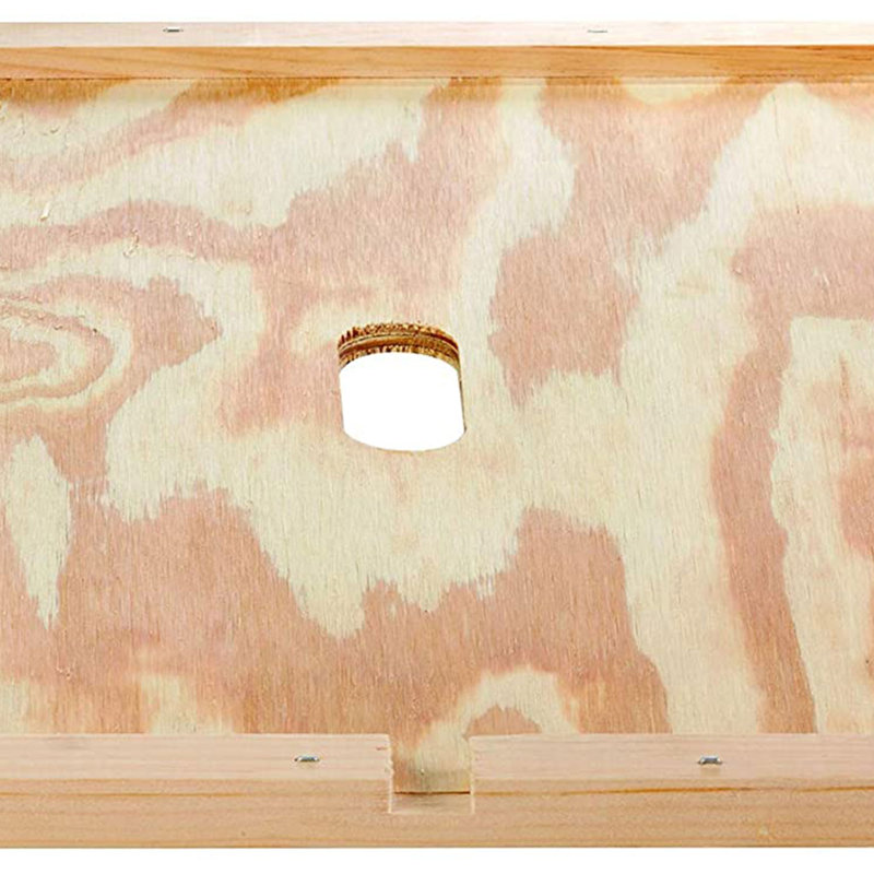 Beekeeping Beehive Accessory