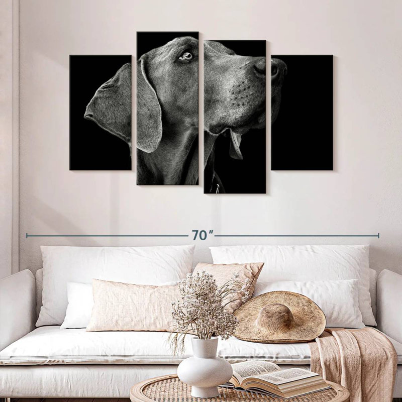 Chien monochrome