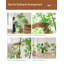 Plantes vertes artificielles de luxe et luxueuses avec des plantes en pot d'hibiscus rouges. Ornements de décoration pour plancher d'intérieur.