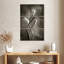 Deux tulipes Harnek II-108520981