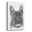 «French Bulldog 3» par Barbara Keith, impression non encadrée-865363005
