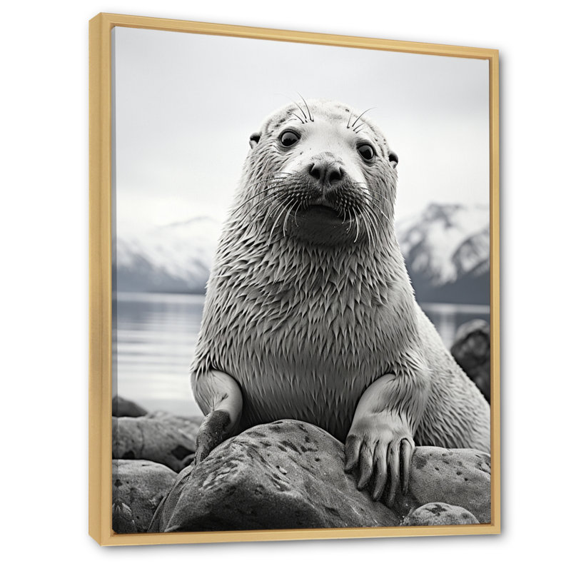 Lamarc, sceau de l'Arctique de l'Alaska - impression, H 44 po x l 34 po x P 1,5 po, Cadre naturel flottant