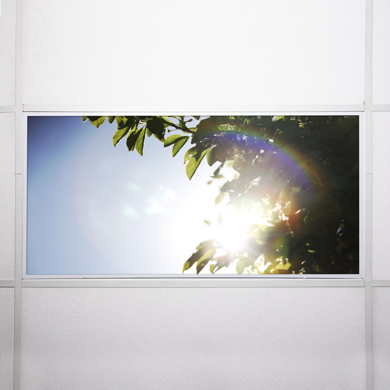 Tree Classroom Fluorescent Light Covers for Ceiling Lights - For 2x4 Light Fixture - by Octo Lights
