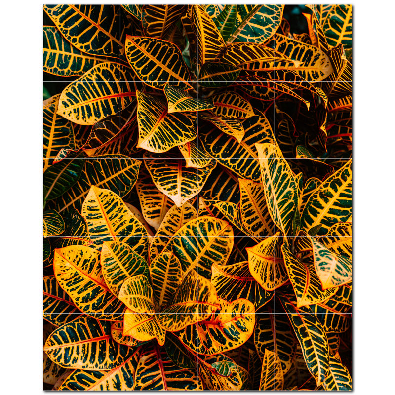 Photo d'arbres 6 x 6