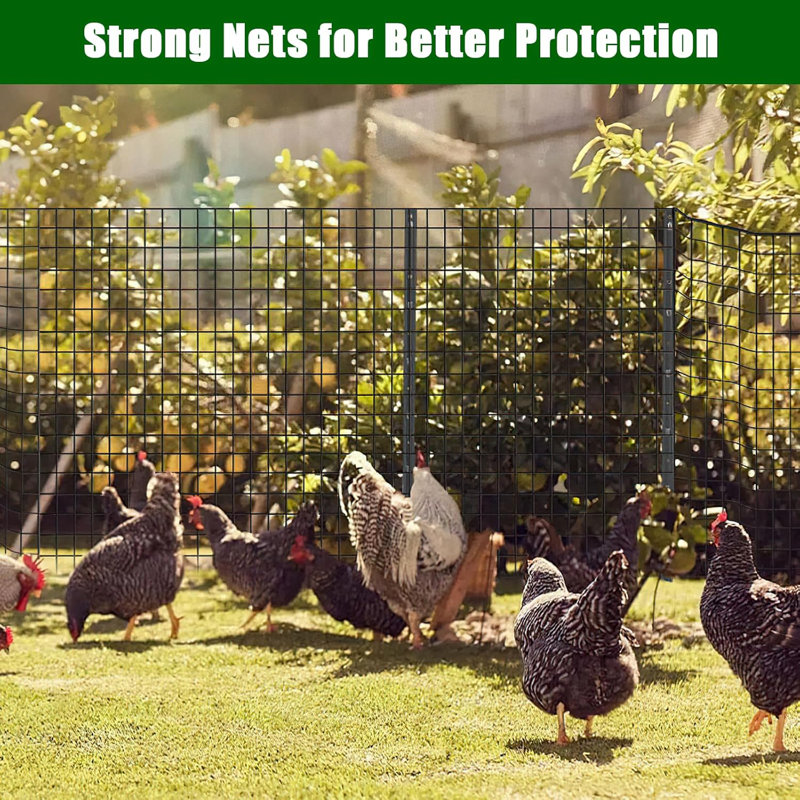 1.3cm H x 1524cm W Black Steel Fencing Kits