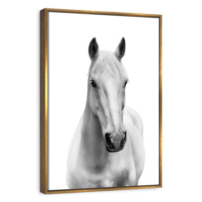 Mince cheval blanc