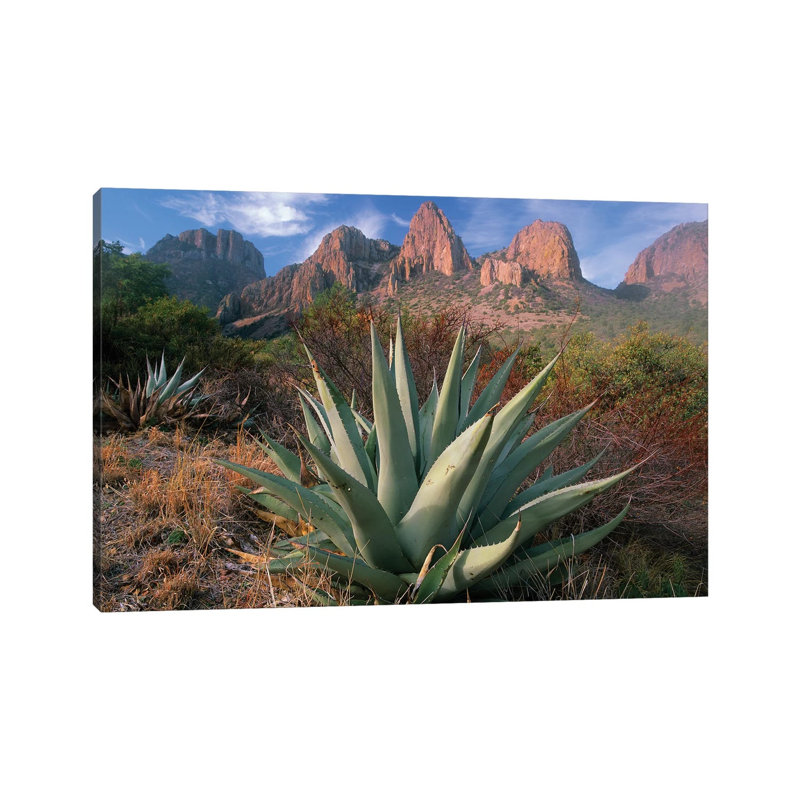 Chisos Agave And The Chisos Mountains, Big Bend National Park, Texas II by Tim Fitzharris - Wrapped Canvas Print