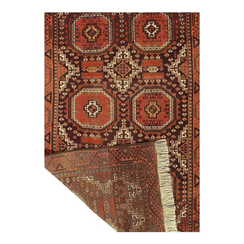 Oriental Area Rug in Brown