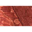 Area Rug in Red