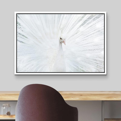 Bird " Vibrant Bright White Peacock Bird "