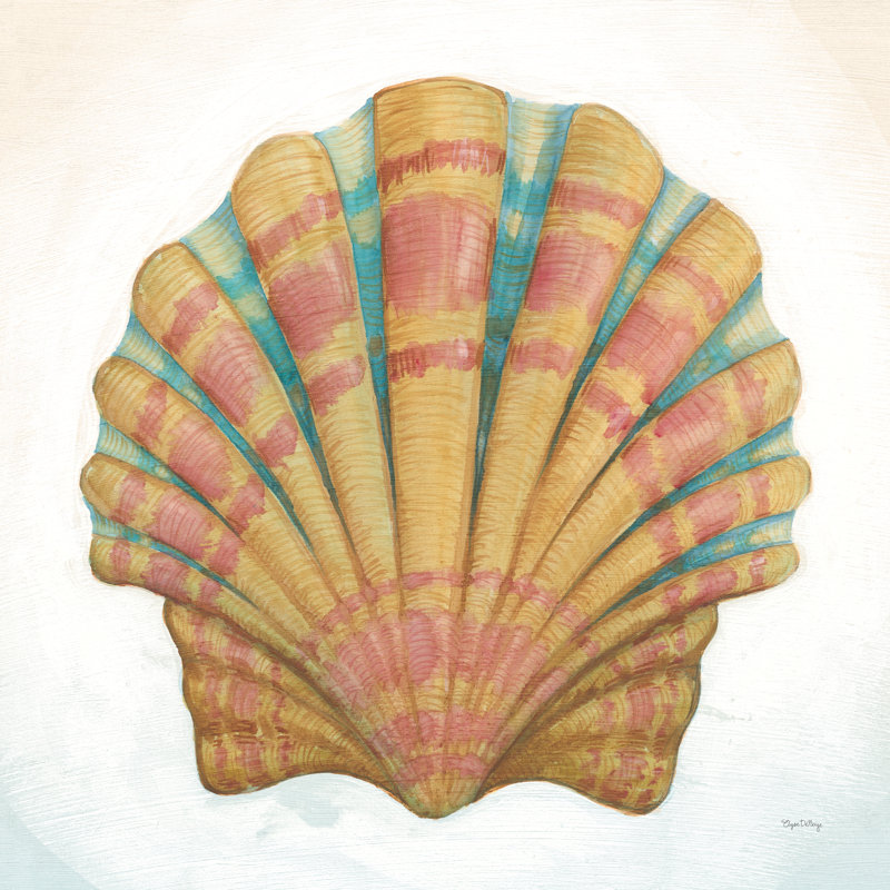 Boardwalk Scallop by Elyse DeNeige - Wrapped Canvas Painting, 30cm H x 30cm W x 3.8cm D