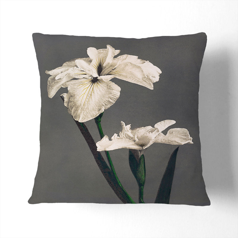 Floral Square Throw Cushion, Black, 55cm H x 55cm W x 20cm D