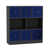 Black/Royal Blue