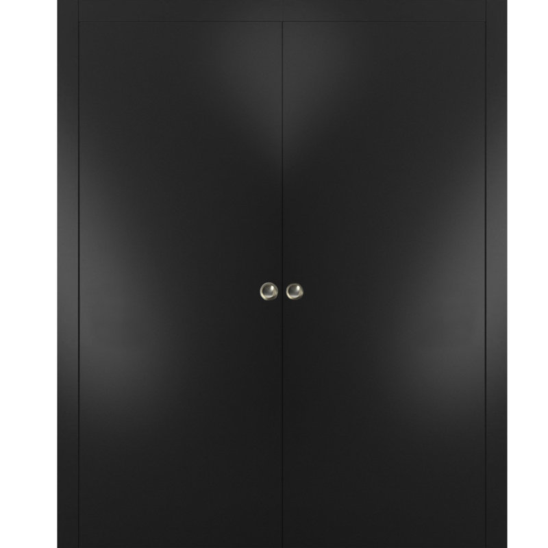 Portes coulissantes en bois Planum, 60" x 96", Noir mat