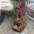 Weather Resistant Cascade Fountain