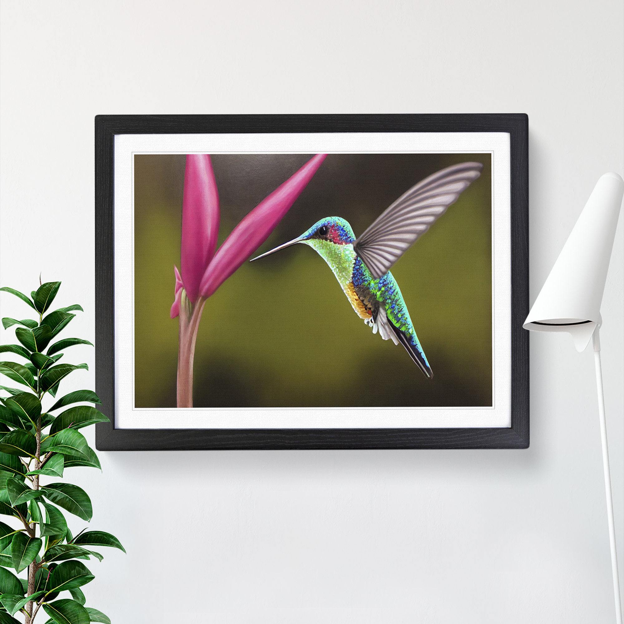 Hummingbird Frame Image 17 Stories Floral Hummingbird Vol.5 - Picture Frame Graphic Art ...