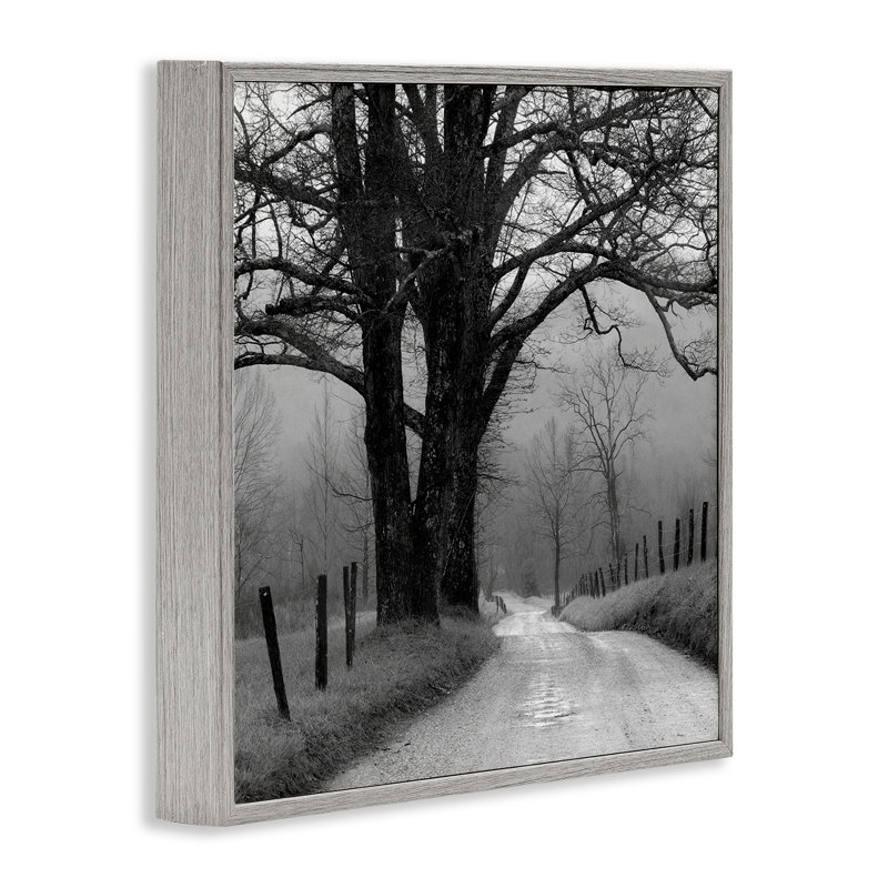 «Lonely Path Vers Trees», art de la giclée encadrée par Nicholas Bell, Estampe numérique Farmhouse, H 24 po x l 24 po