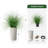 Onion Grass Silk Tree - Artificial Plants in Modern Outdoor Floor Decoration-97818240